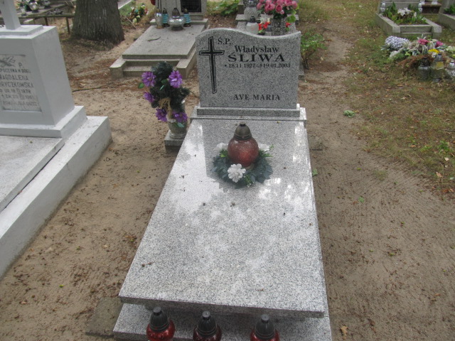Grób WŁADYSŁAW ŚLIWA