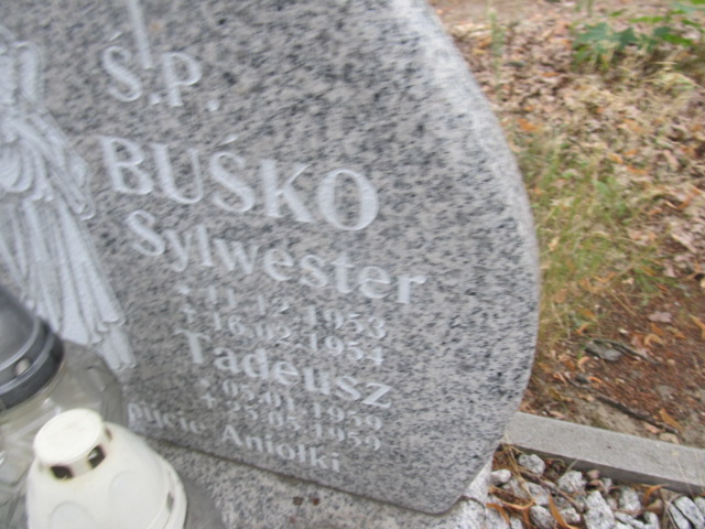 Tadeusz BUŚKO 1959 Gubin - Grobonet - Wyszukiwarka osób pochowanych