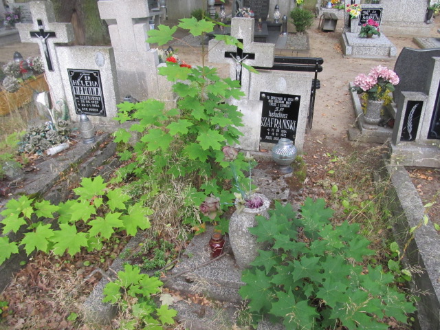 Grób EUSTACHIUSZ SZAFRAŃSKI