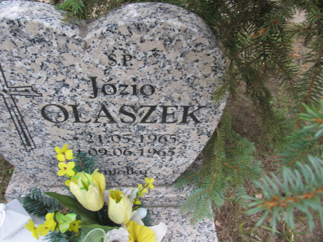 Józef OLASZEK 1965 Gubin - Grobonet - Wyszukiwarka osób pochowanych