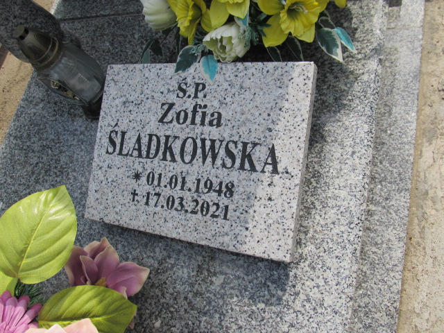 Zygmunt STEIN 1917 Gubin - Grobonet - Wyszukiwarka osób pochowanych