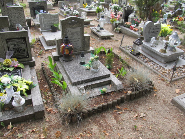 Grób AGNIESZKA DRZEWIECKA