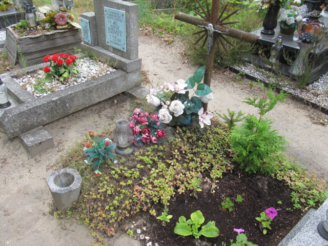 Anna BALIŃSKA 1982 Gubin - Grobonet - Wyszukiwarka osób pochowanych