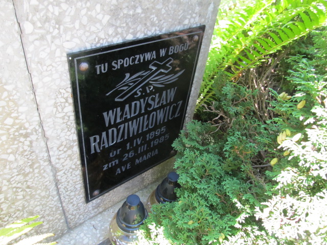 Władysław RADZIWIŁOWICZ 1895 Gubin - Grobonet - Wyszukiwarka osób pochowanych