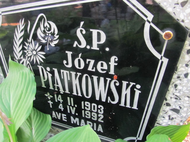 Józef PIĄTKOWSKI 1903 Gubin - Grobonet - Wyszukiwarka osób pochowanych