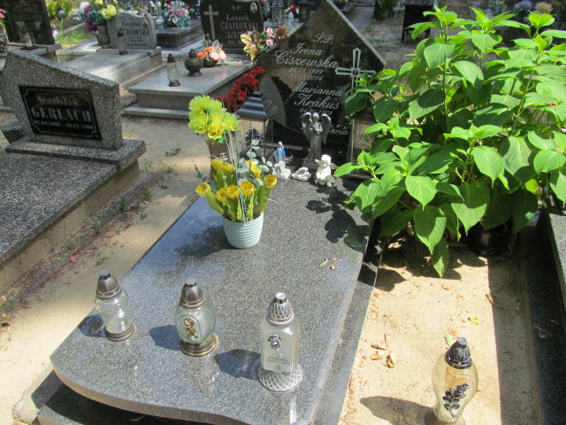 Grób MARIANNA KRAKUS