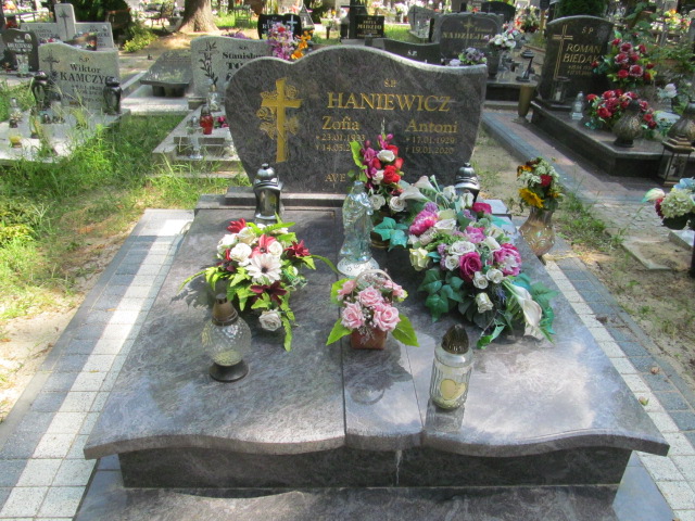 Grób ANTONI HANIEWICZ